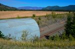 Tunnel at Notch Hill BC.